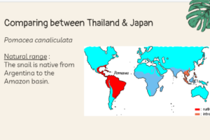 生物生息地　タイと日本比較