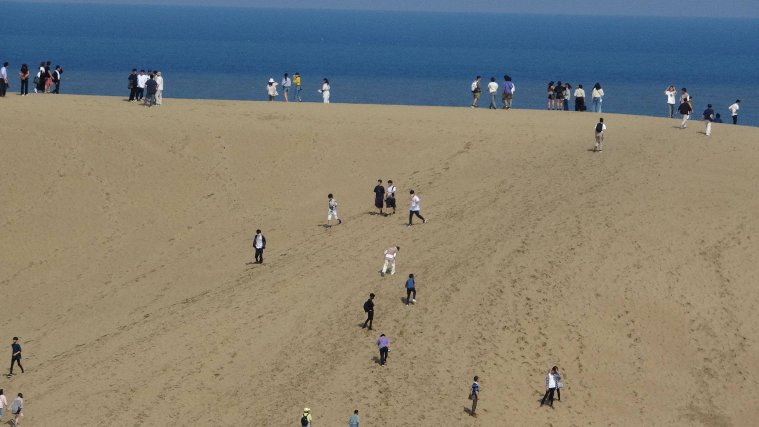 砂丘で戯れる人々