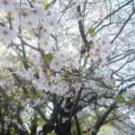 <span class="title">令和８年度が始まりました</span>